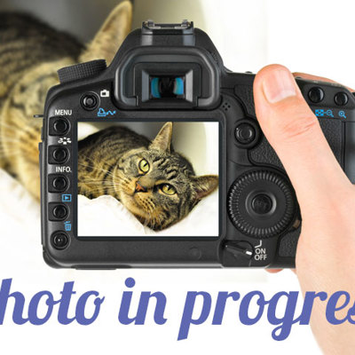 Jonas photo