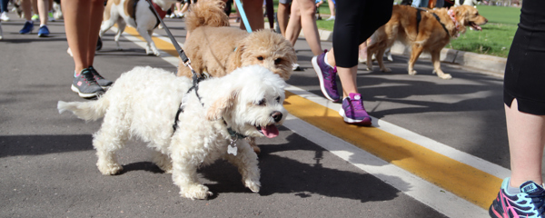 Upcoming Event: Furry Scurry 2023