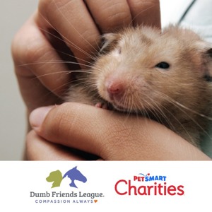 Making a difference with PetSmart Charities® image