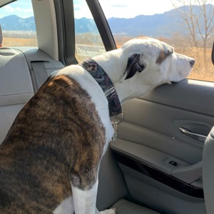 /images/blog/RAchel%20Biederman%20-%2090BF69B2-83A2-4359-9EB3-0574F1A06A89.jpeg image