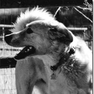 /images/blog/buddy%20center.jpg image