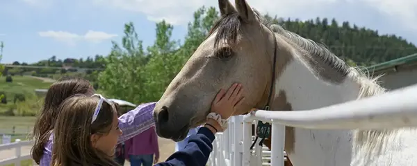 Upcoming Event: 2023 Harmony Horse Expo