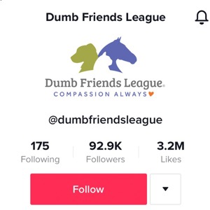 /images/news/2022/tiktok%20.jpg image