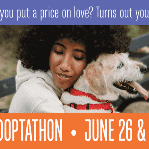 /images/news/wp-images/Adoptathon-web.gif image