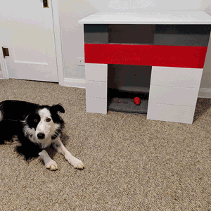 /images/news/wp-images/Patch-Bauhaus-Dog-House.gif image